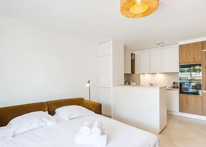 Superbe Climatise A - 2 Pieces, Parking Inclus 芒通